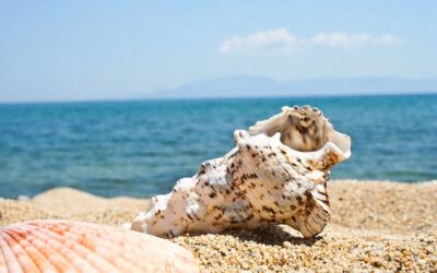 Viajes para mayores 2026 con el IMSERSO: destinos, precios y cómo apuntarse