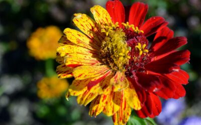 Quiz: ¿Cuánto sabes sobre cultura y curiosidades de España?